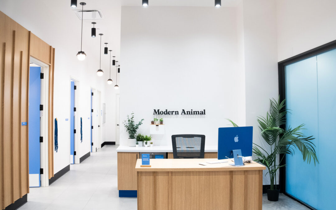 Modern Animal Opens Long Beach Location